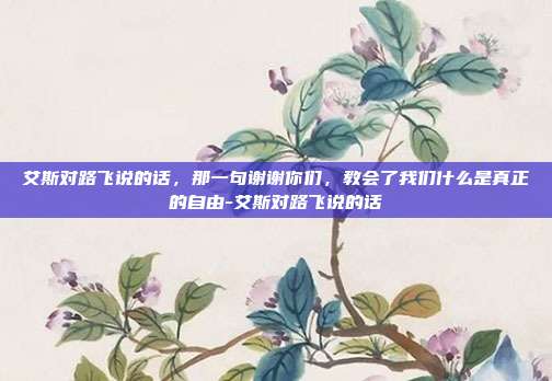 艾斯对路飞说的话，那一句谢谢你们，教会了我们什么是真正的自由-艾斯对路飞说的话