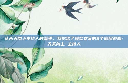 从天天向上主持人的嘴里，我挖出了爆款文案的3个底层逻辑-天天向上 主持人