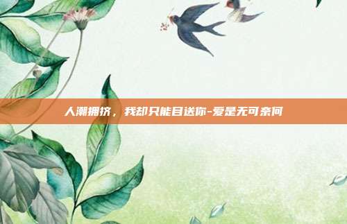 人潮拥挤，我却只能目送你-爱是无可奈何