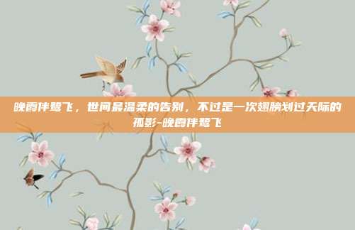 晚霞伴鹭飞,世间最温柔的告别,不过是一次翅膀划过天际的孤影-晚霞伴鹭飞