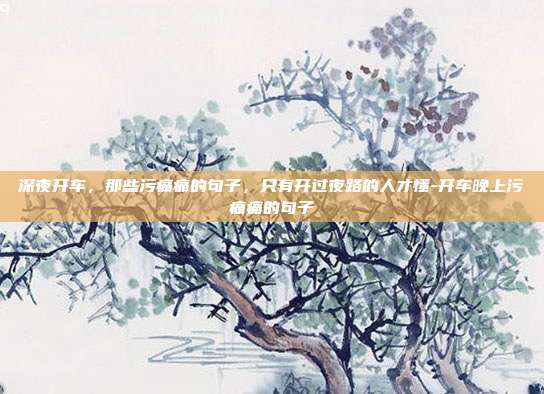 深夜开车，那些污痛痛的句子，只有开过夜路的人才懂-开车晚上污痛痛的句子