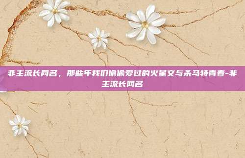 非主流长网名，那些年我们偷偷爱过的火星文与杀马特青春-非主流长网名