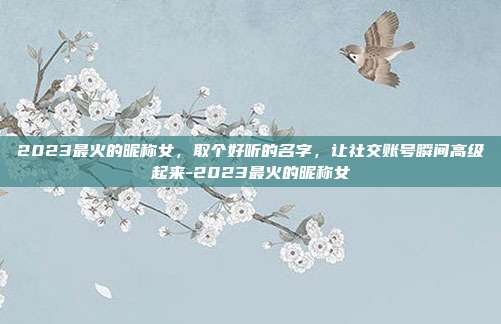 2023最火的昵称女，取个好听的名字，让社交账号瞬间高级起来-2023最火的昵称女