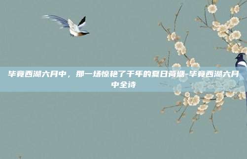 毕竟西湖六月中，那一场惊艳了千年的夏日荷塘-毕竟西湖六月中全诗