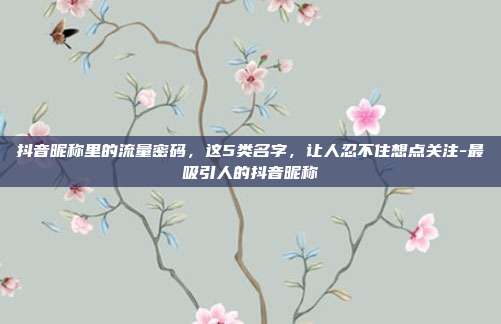 抖音昵称里的流量密码,这5类名字,让人忍不住想点关注-最吸引人的抖音昵称