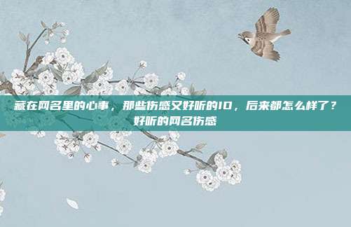 藏在网名里的心事,那些伤感又好听的ID,后来都怎么样了?好听的网名伤感