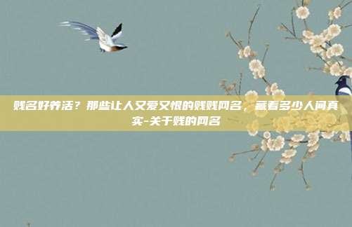 贱名好养活?那些让人又爱又恨的贱贱网名,藏着多少人间真实-关于贱的网名
