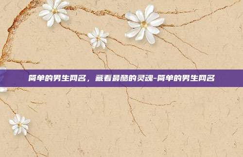 简单的男生网名,藏着最酷的灵魂-简单的男生网名