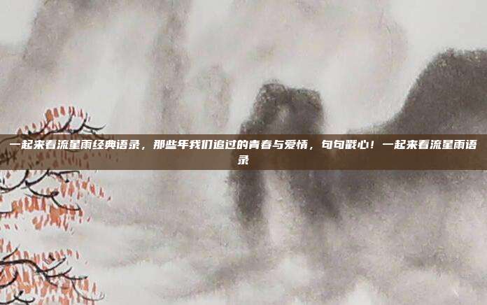 一起来看流星雨经典语录,那些年我们追过的青春与爱情,句句戳心!一起来看流星雨语录