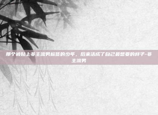 那个被贴上非主流男标签的少年,后来活成了自己最想要的样子-非主流男
