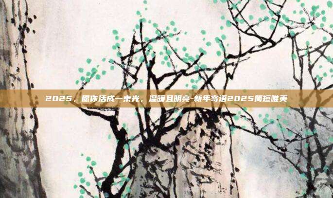 2025,愿你活成一束光,温暖且明亮-新年寄语2025简短唯美