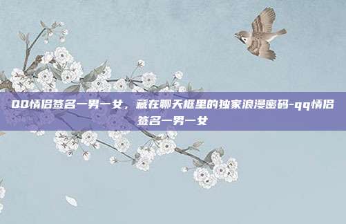 QQ情侣签名一男一女,藏在聊天框里的独家浪漫密码-qq情侣签名一男一女