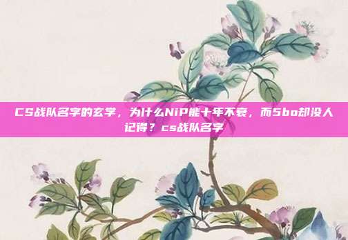 CS战队名字的玄学,为什么NiP能十年不衰,而5bo却没人记得?cs战队名字