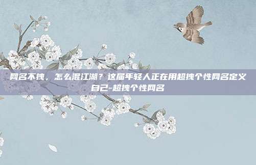网名不拽,怎么混江湖?这届年轻人正在用超拽个性网名定义自己-超拽个性网名