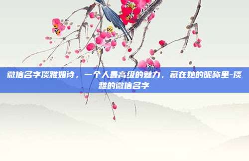 微信名字淡雅如诗,一个人最高级的魅力,藏在她的昵称里-淡雅的微信名字