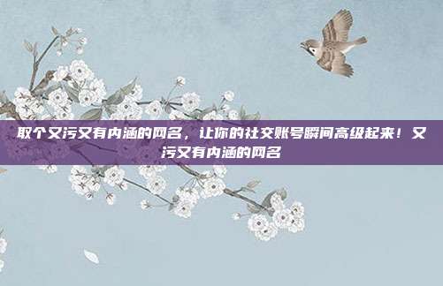 取个又污又有内涵的网名,让你的社交账号瞬间高级起来!又污又有内涵的网名