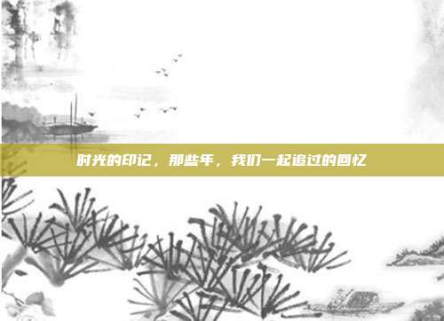 时光的印记,那些年,我们一起追过的回忆