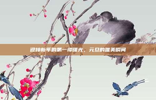 迎接新年的第一缕曙光,元旦的唯美瞬间