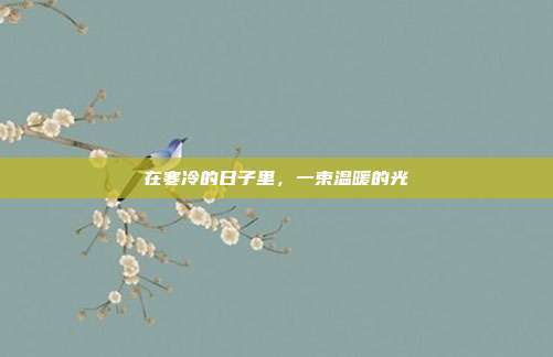 在寒冷的日子里，一束温暖的光
