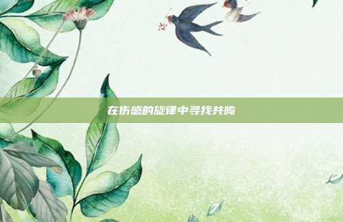 在伤感的旋律中寻找共鸣