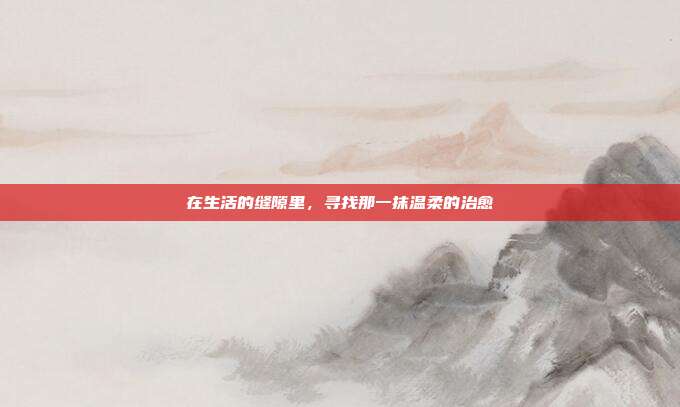 在生活的缝隙里,寻找那一抹温柔的治愈