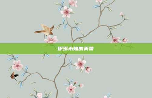 探索未知的美景