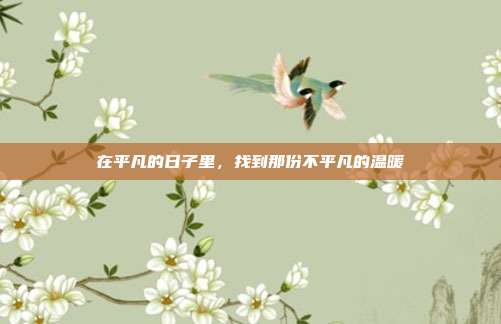 在平凡的日子里，找到那份不平凡的温暖