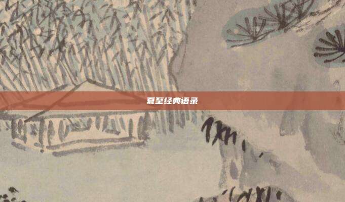 夏至经典语录