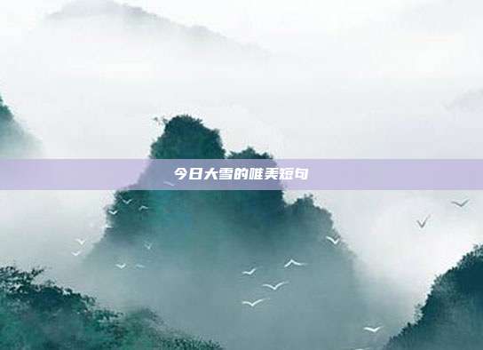 今日大雪的唯美短句