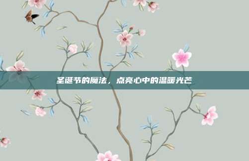 圣诞节的魔法,点亮心中的温暖光芒