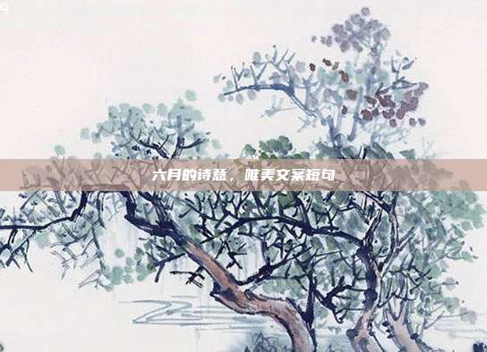 六月的诗意，唯美文案短句