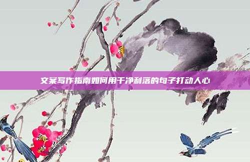 文案写作指南如何用干净利落的句子打动人心