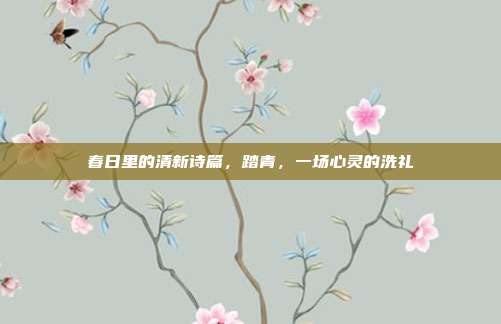 春日里的清新诗篇,踏青,一场心灵的洗礼