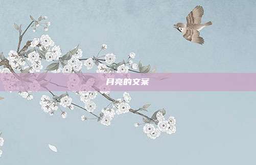 月亮的文案