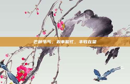 芒种节气，农事繁忙，丰收在望