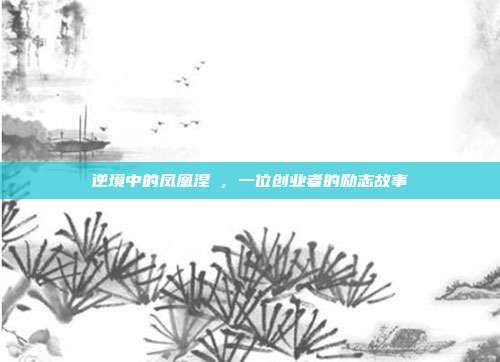 逆境中的凤凰涅槃，一位创业者的励志故事