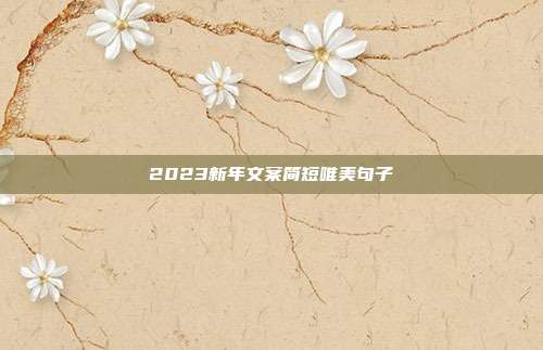 2023新年文案简短唯美句子