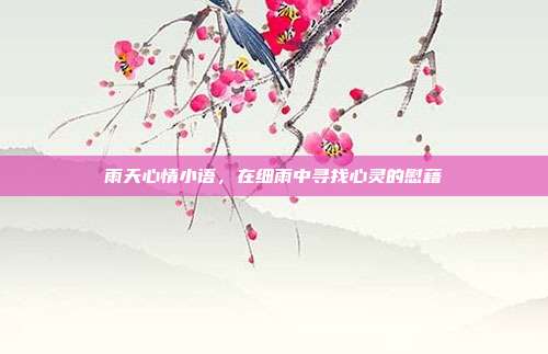 雨天心情小语,在细雨中寻找心灵的慰藉