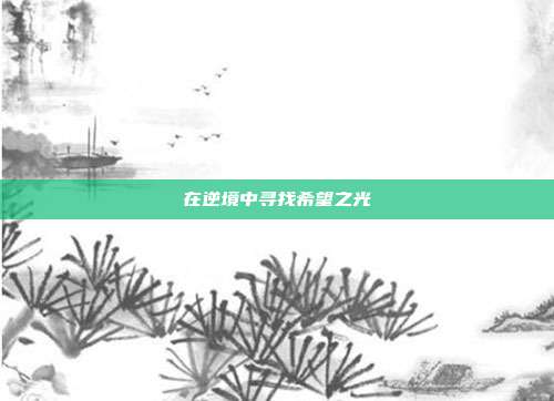 在逆境中寻找希望之光