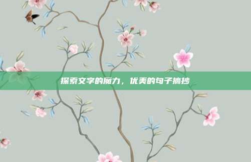 探索文字的魔力，优美的句子摘抄