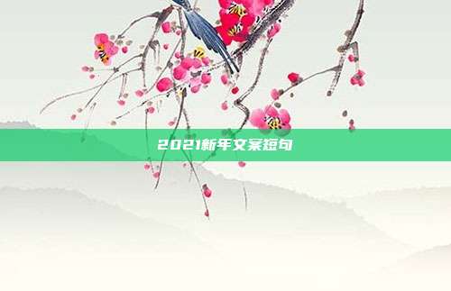 2021新年文案短句