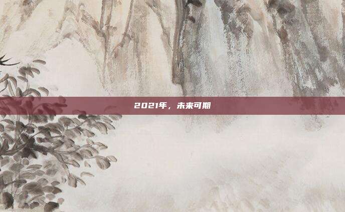 2021年,未来可期