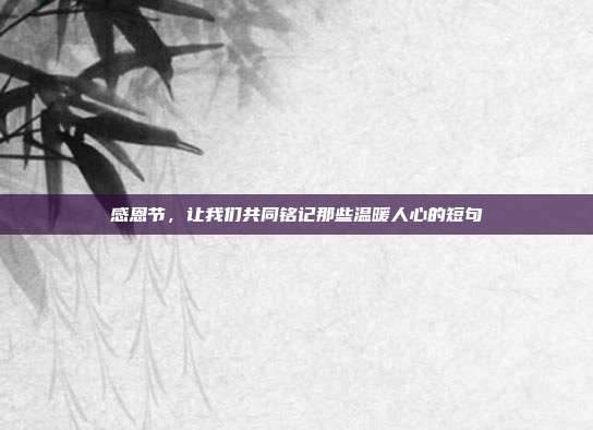 感恩节,让我们共同铭记那些温暖人心的短句