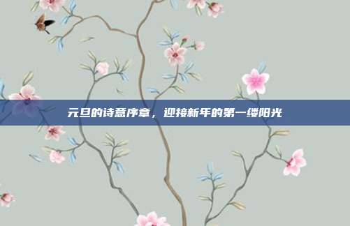 元旦的诗意序章,迎接新年的第一缕阳光