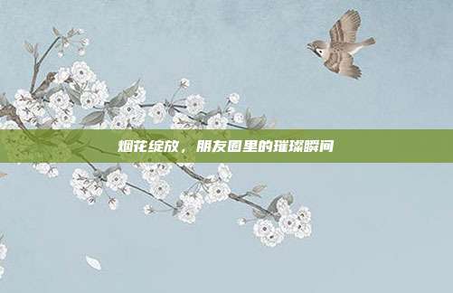 烟花绽放，朋友圈里的璀璨瞬间