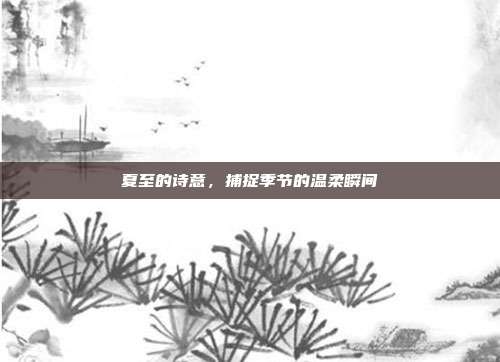 夏至的诗意，捕捉季节的温柔瞬间