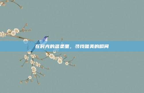 在时光的温柔里,寻找唯美的瞬间