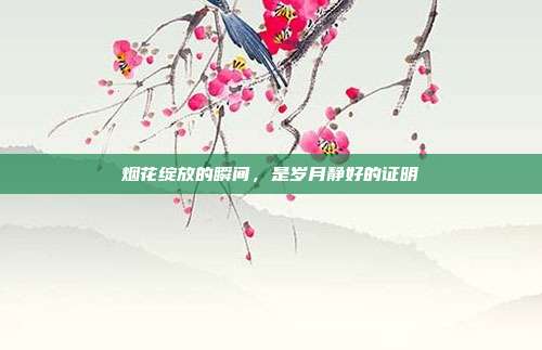烟花绽放的瞬间,是岁月静好的证明