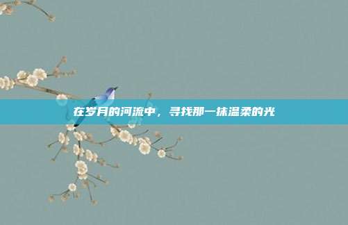 在岁月的河流中,寻找那一抹温柔的光