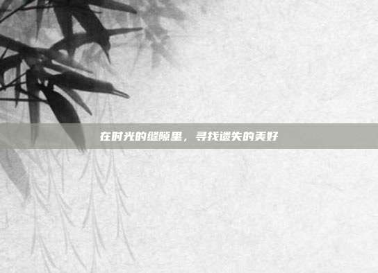 在时光的缝隙里，寻找遗失的美好